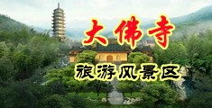 男生日女生屄视频中国浙江-新昌大佛寺旅游风景区